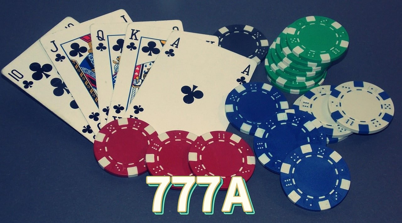 777A feedback — categorias de sugestão e melhoria no app